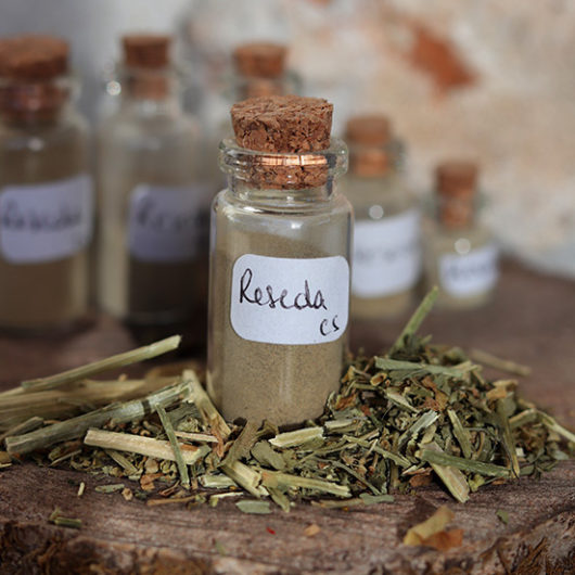 Réséda (plante)